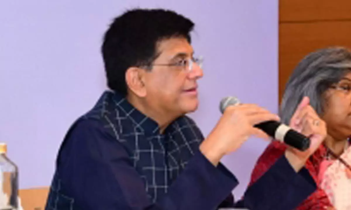 Piyush Goyal, Commerce and Industry Minister