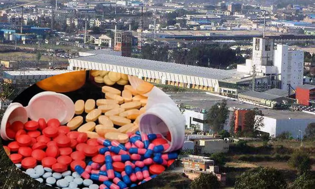 Govt should expand scheme for promotion of bulk drug parks to other states as well