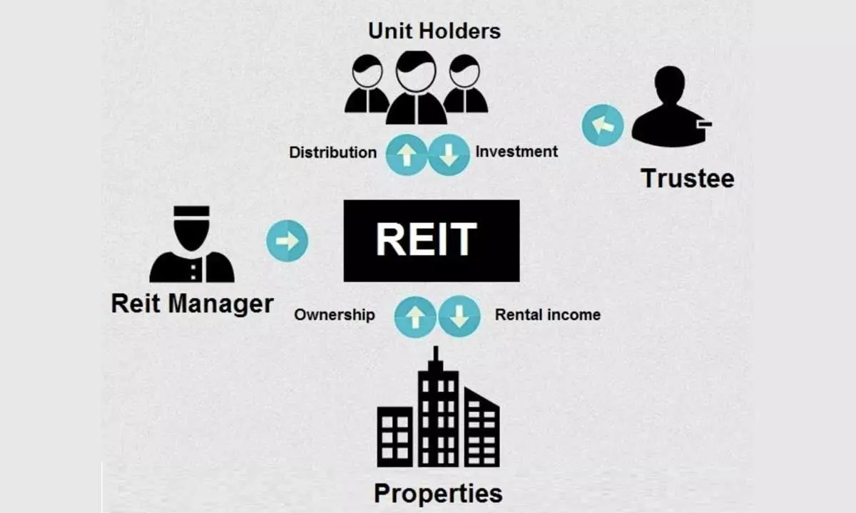 REITs thrived while other asset classes bear negative returns