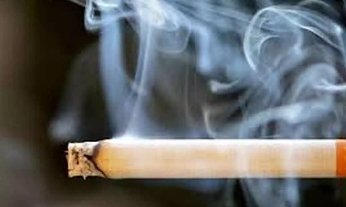 FAIFA urges govt to curb cigarette smuggling