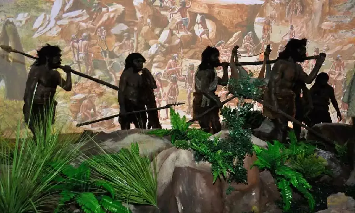 We can still see these 5 traces of ancestor species in all human bodies