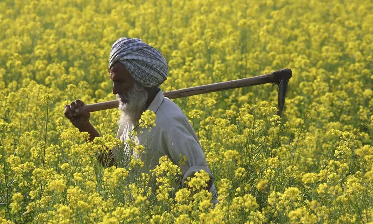 Budget wishlist: Marginalised farmers’ growth key to $5-tn economy