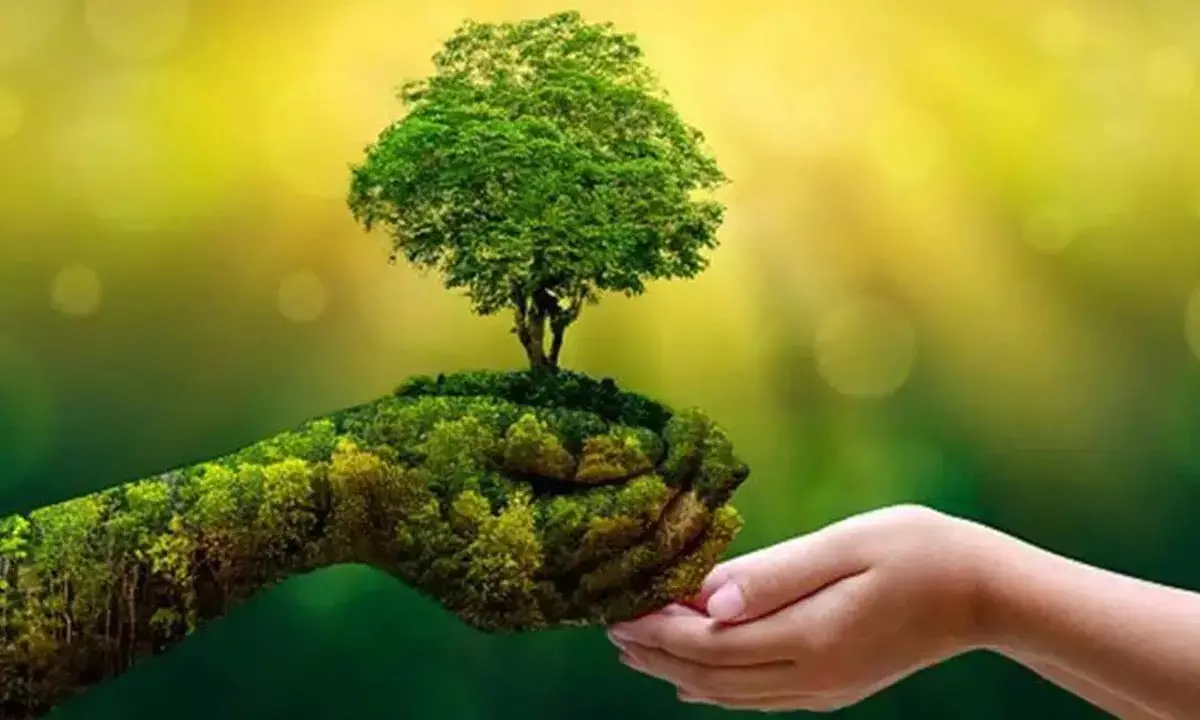 Industry lauds focus on sustainability