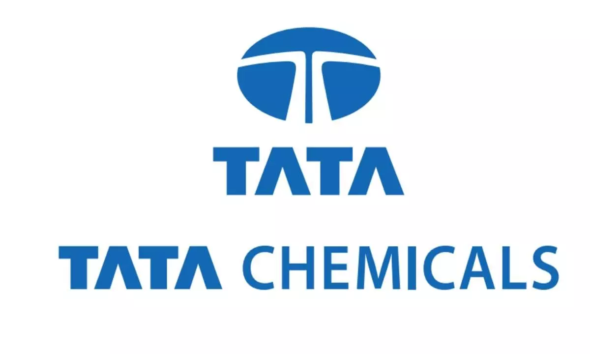 Tata Chemicals consolidated net profit rises 21.42% at Rs 425 crore in Q3 result