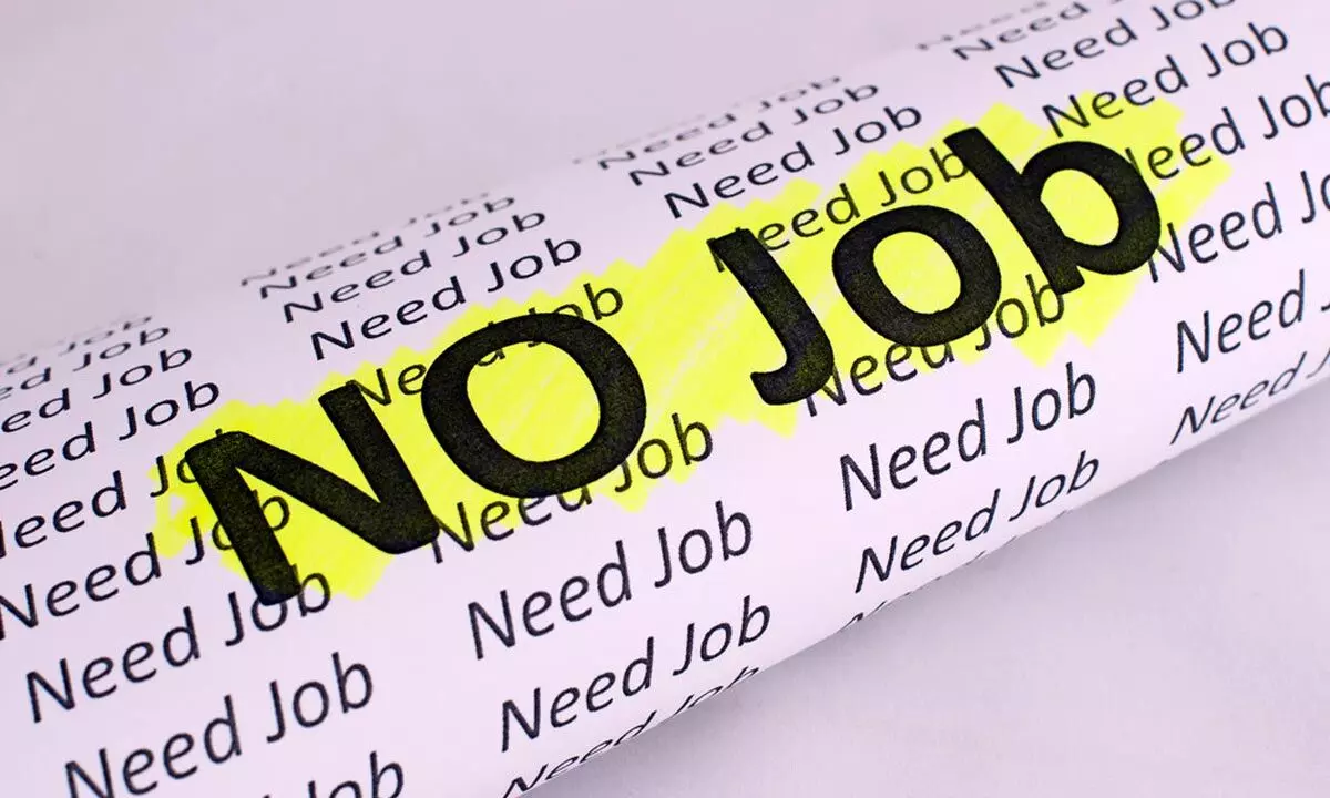 IT job growth slumps 25% on waning hiring intent