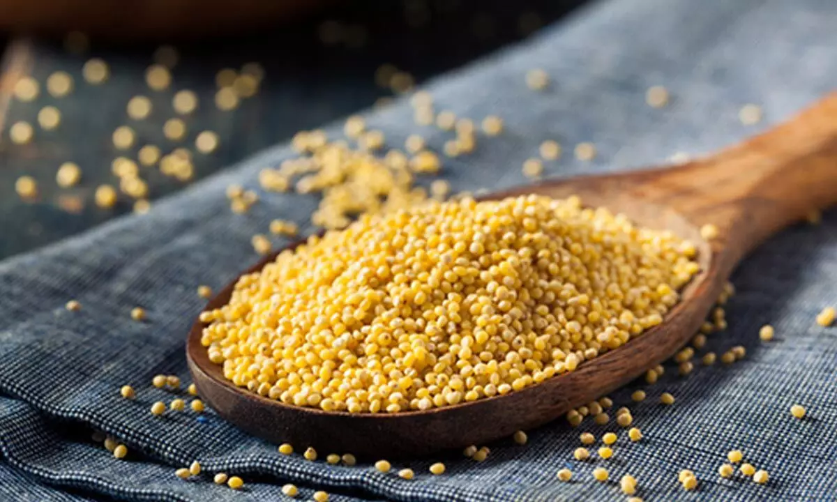 ‘International Year of Millets’ calls for major push to the super food