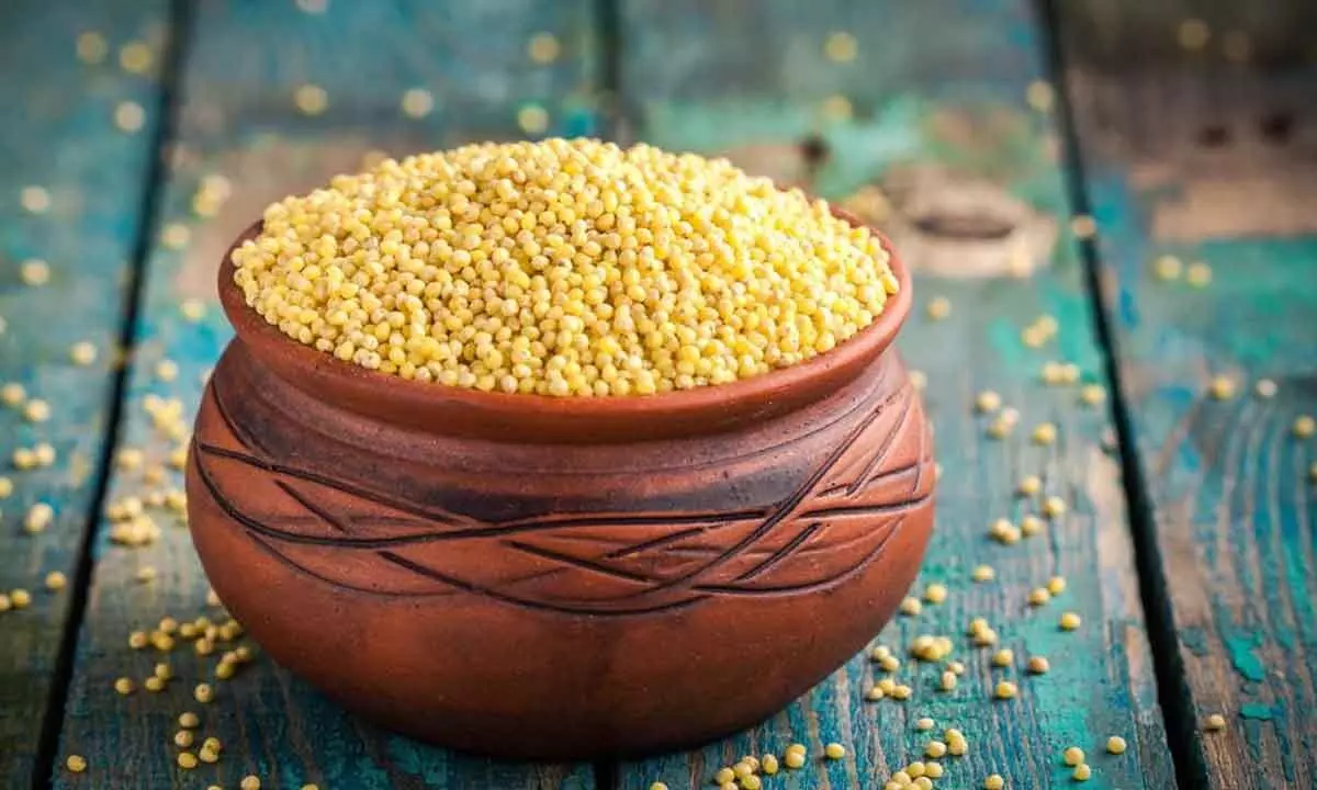 International Year of Millets calls for major push to the super food