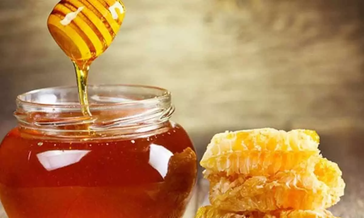 What makes Sundarbans honey unique in taste from rest of globe?