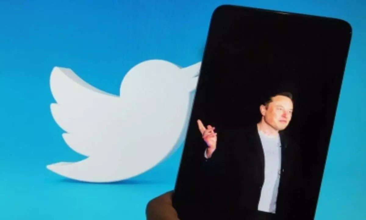 Musk continues to sack Twitter employees despite promise not to do so