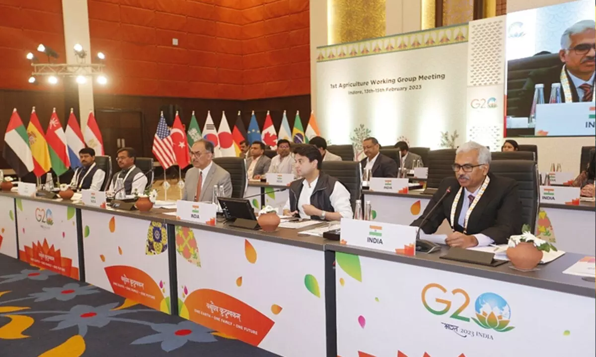G20 moots carbon credit-like incentive for farmers