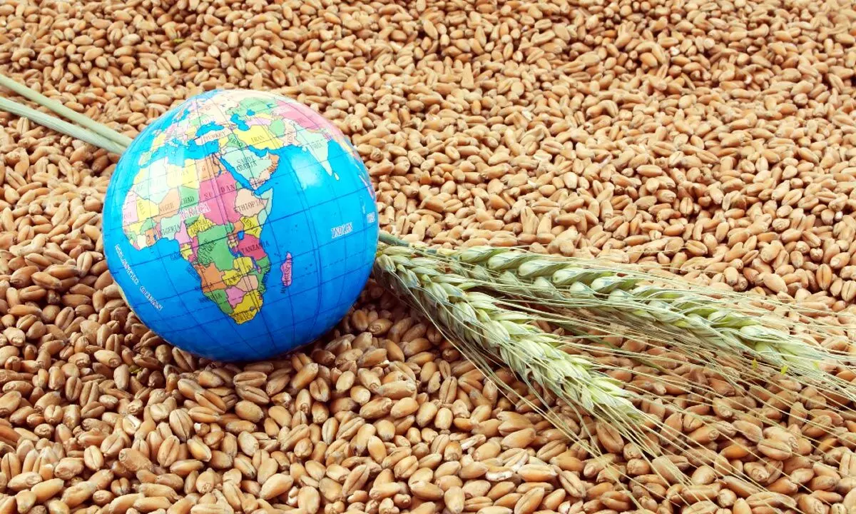 India should use G-20 Presidency to rebuild food security, agri narrative