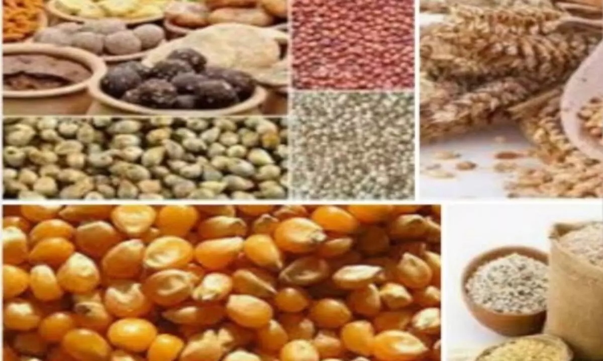 Prices of cereals to be about 15% higher: CRISIL