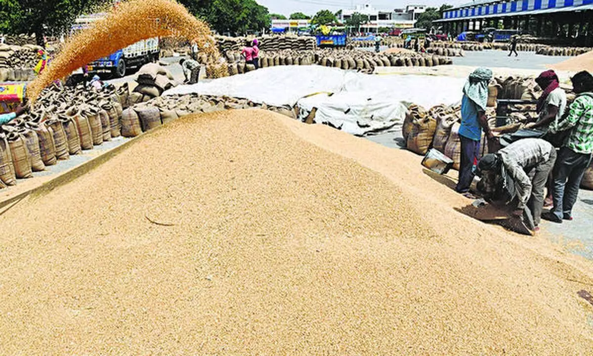 Government to offload 20 lakh tonnes of wheat in open market to reduce prices