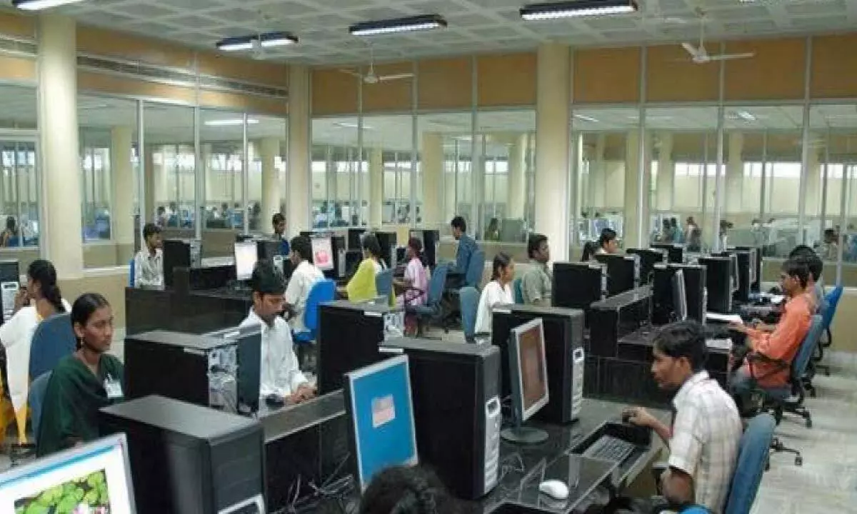IT firms should be sensitive in their treatment of freshers