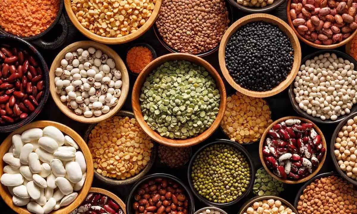 How getting people to eat more pulses can help end world hunger