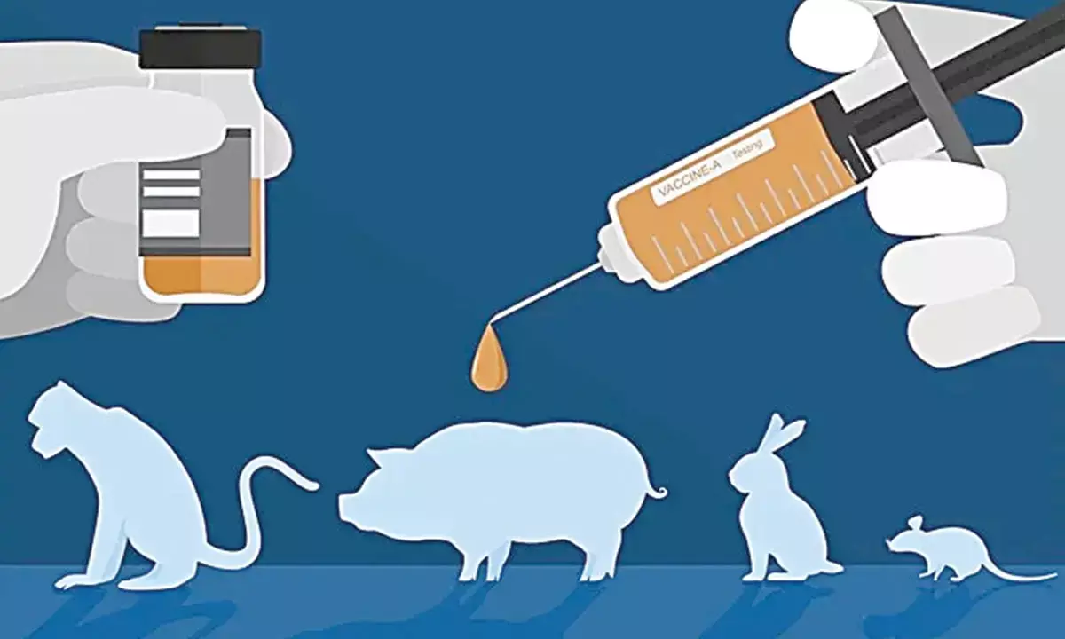 Move to regulate experiments on animals a welcome decision