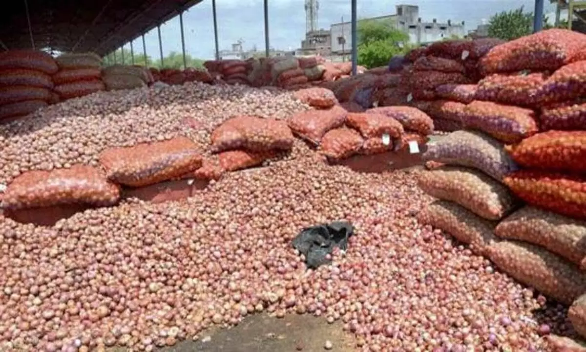 After 13 days strike, onion auctions resume in Nashik wholesale markets