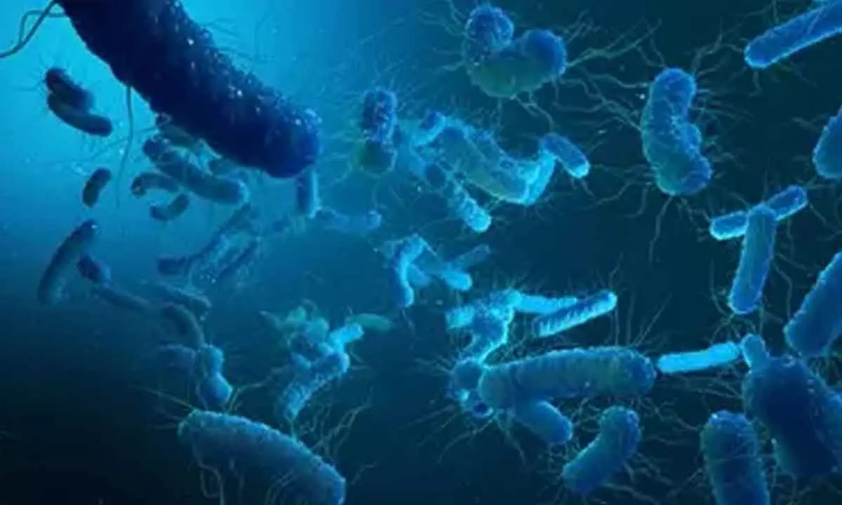 Israeli scientists develop world’s 1st mRNA vax for deadly bacteria