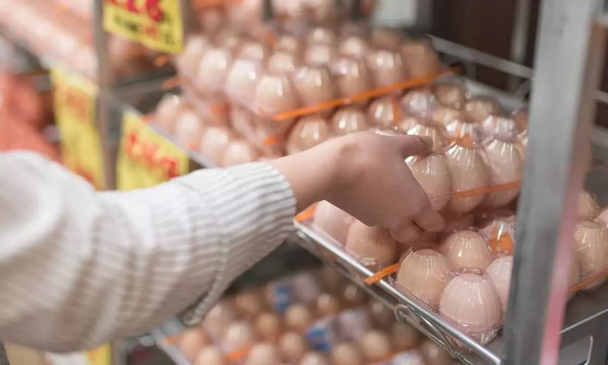 Japan egg prices surge amid record 16 million bird flu cullings