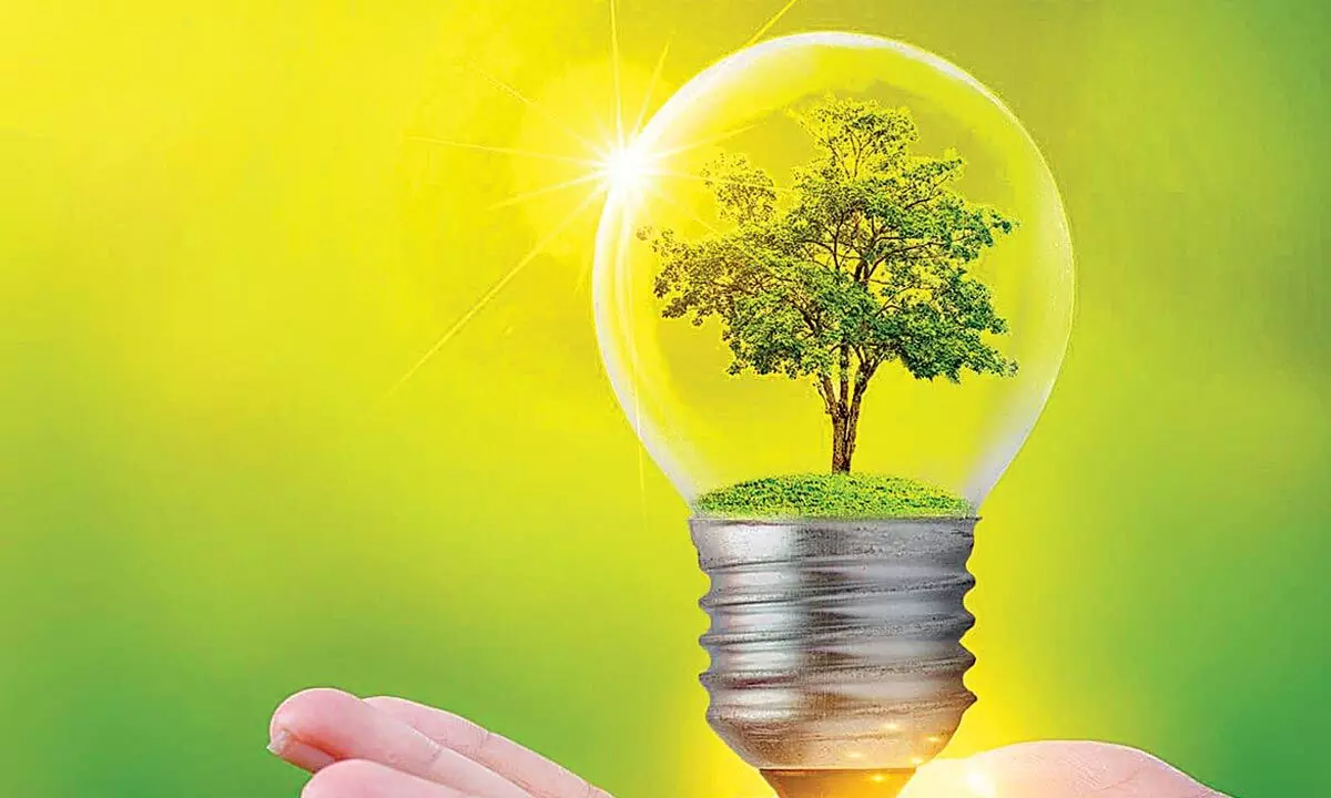 Cleantech and green energy players can boost sustainable economic development