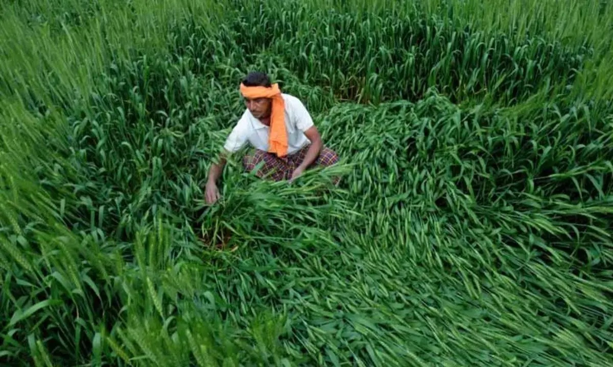 Over 9L UP farmers get compensation for losses