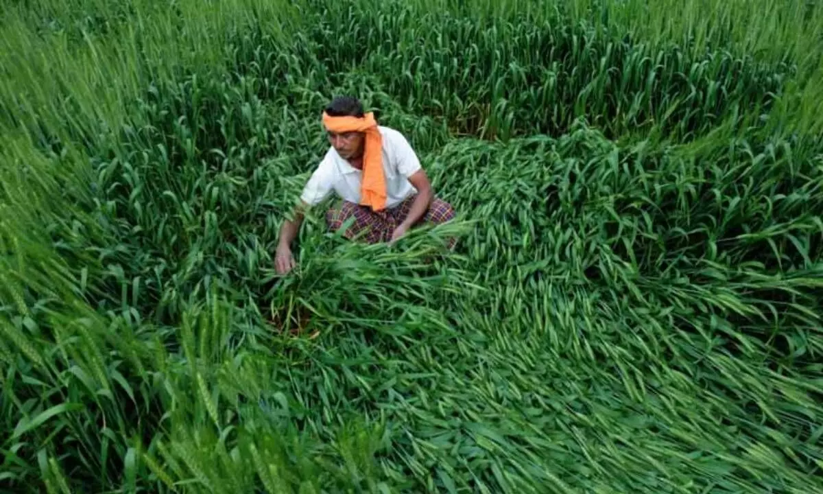 Over 9L UP farmers get compensation for losses