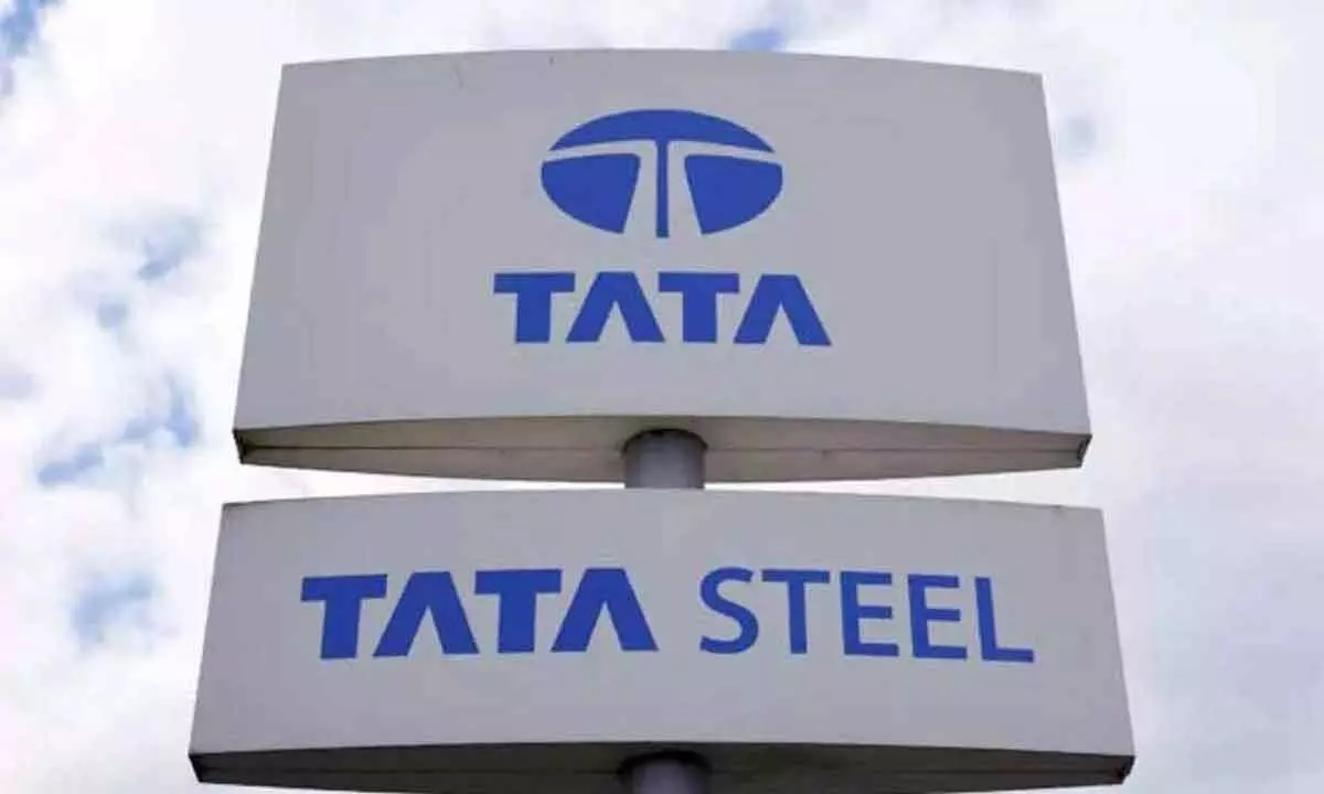 Order placed by Railways is not for coaches: Tata Steel