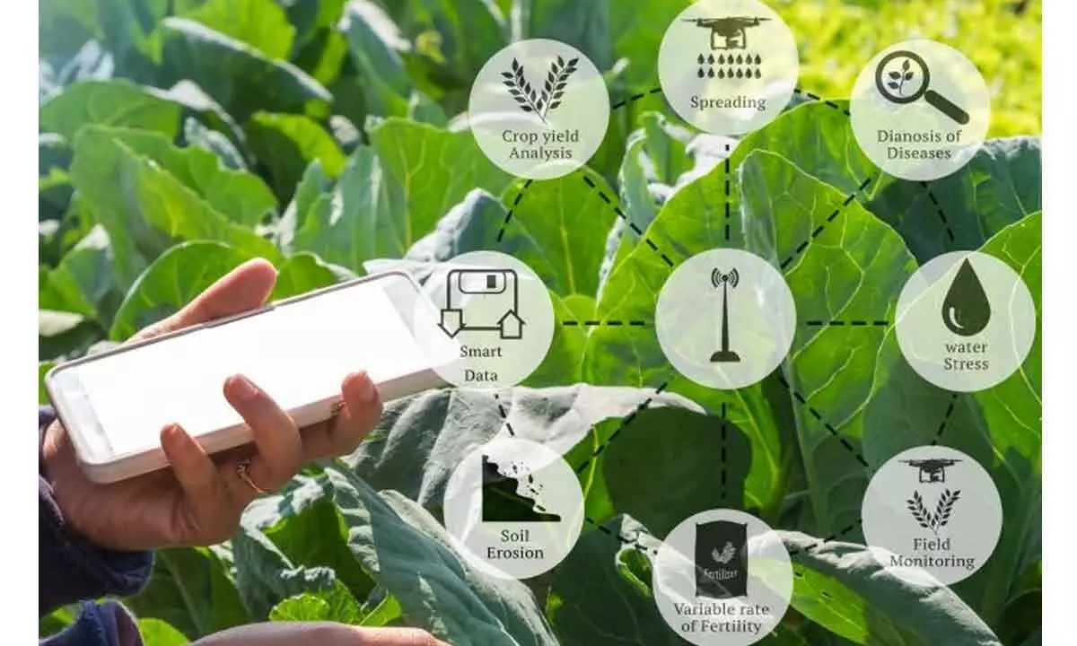 Enriching agritech platforms adding substance to agricultural value chain