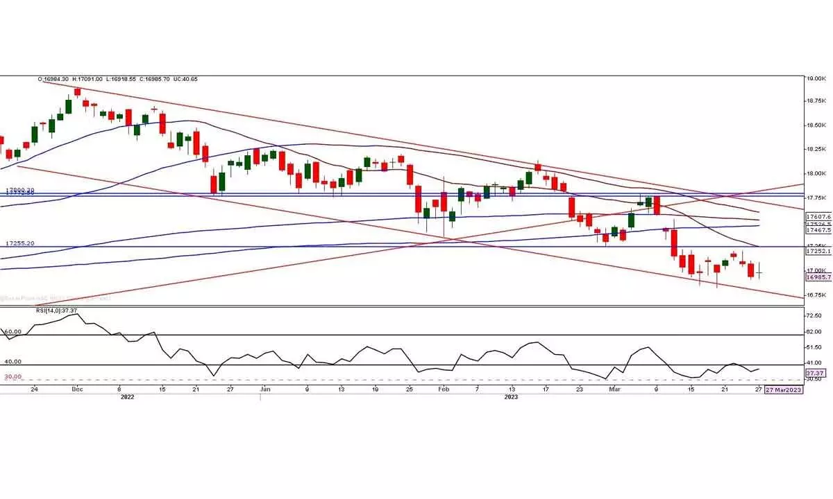 Nifty forms perfect Doji candle Nifty forms perfect Doji candle