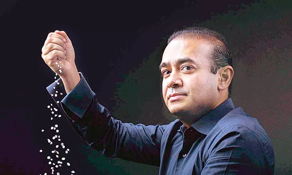 Nirav Modi