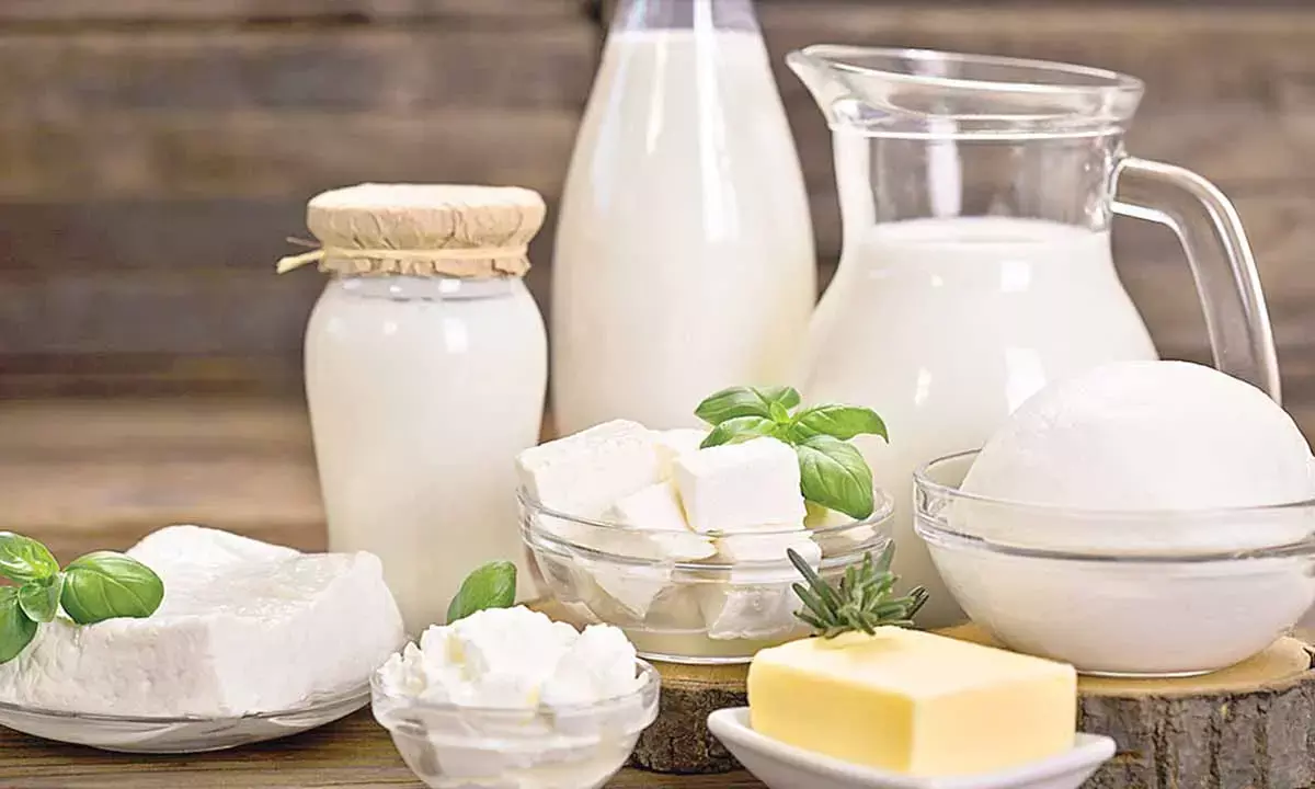 India will not import butter, other dairy products: Rupala