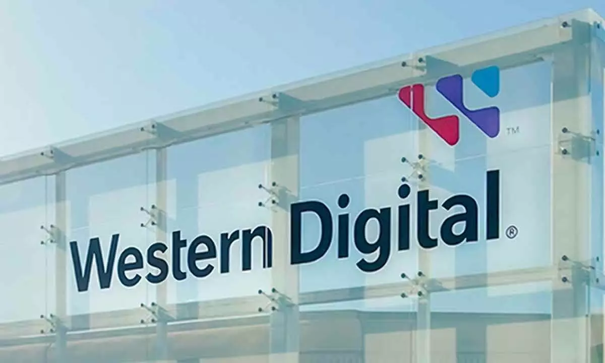 Hackers steal 10TB Western Digital data