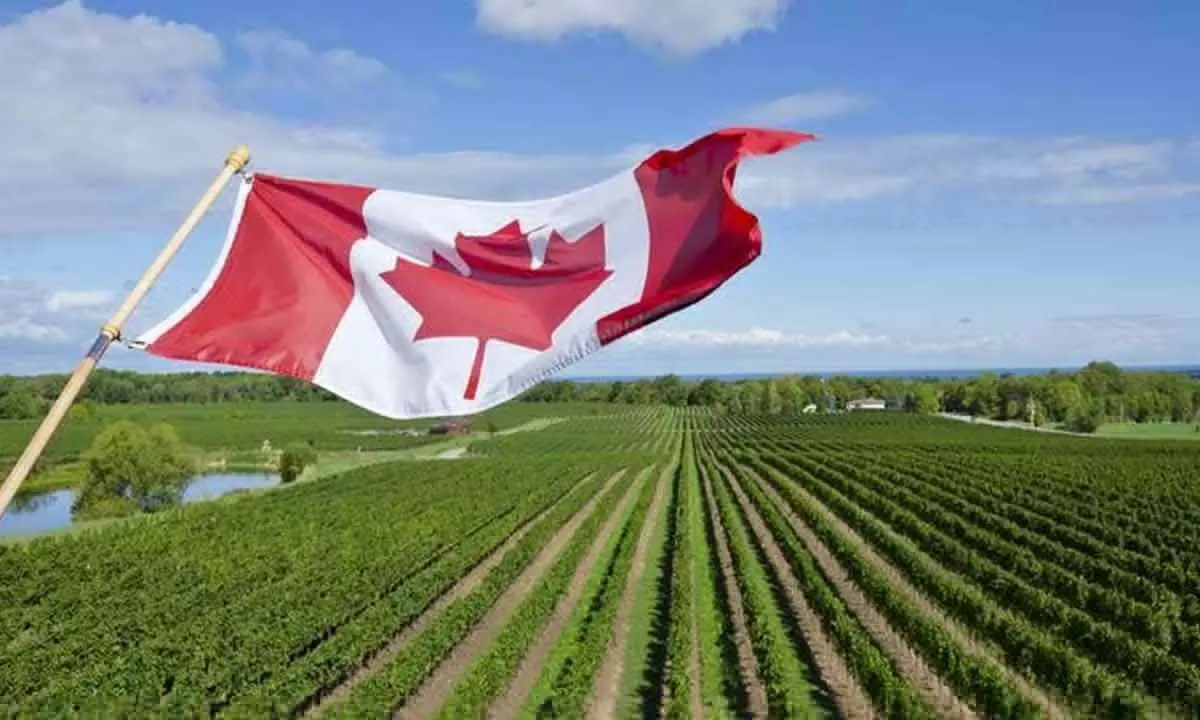 Canada needs 30,000 new immigrants in agri sector