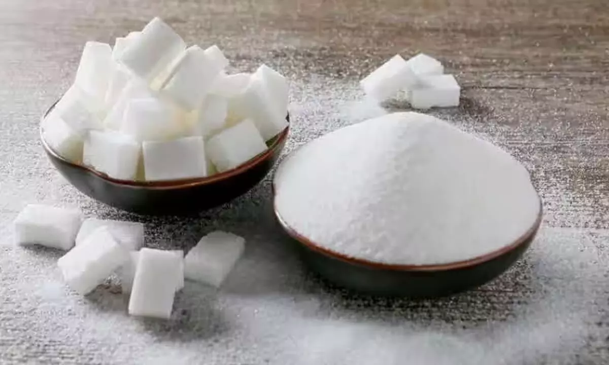 ISMA cuts sugar output estimate by 3.5% for 2022-23 marketing yr