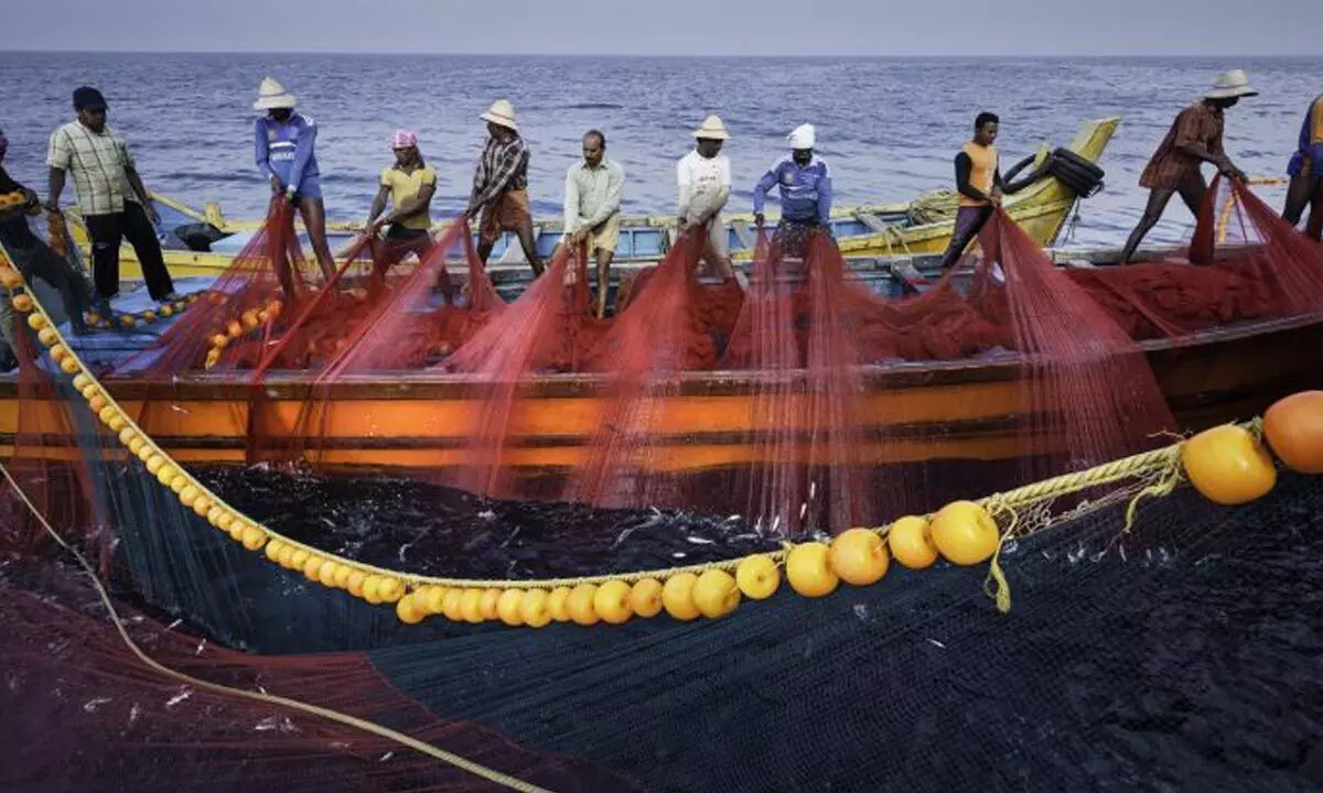 In Andhra Pradesh, fishing turned non-remunerative