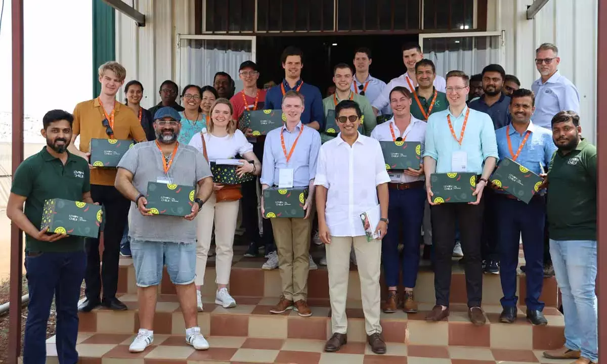 Lemonchilli Farms, Dutch cos to skill greenhouse farmers