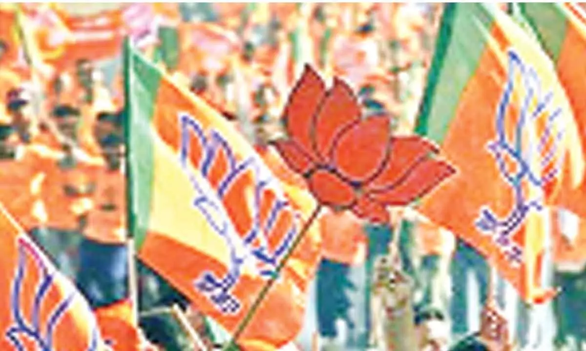 BJP getting stronger with Opposition’s call for unity