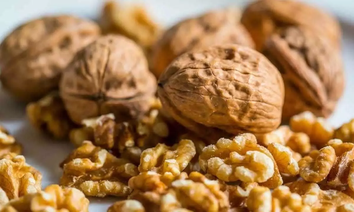 Eating walnuts may enhance memory Eating walnuts may enhance memory