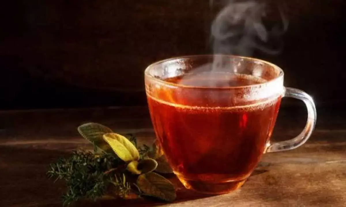 Tea producers should swear by the rule book on use of pesticides