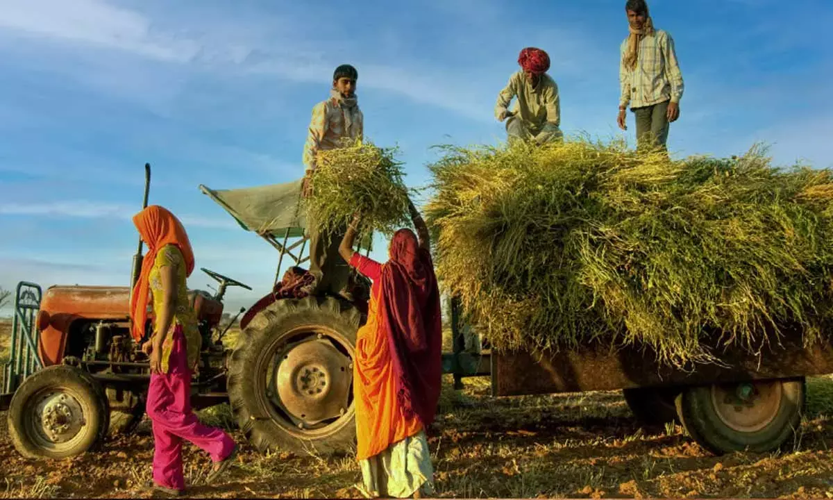 Policy makers should focus on revitalising the farm sector