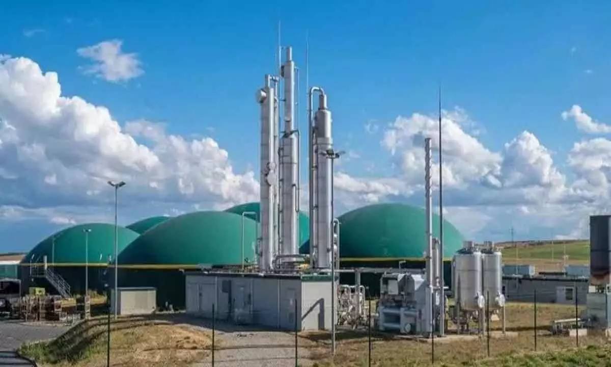 IBA pitches for increasing share of compressed biogas