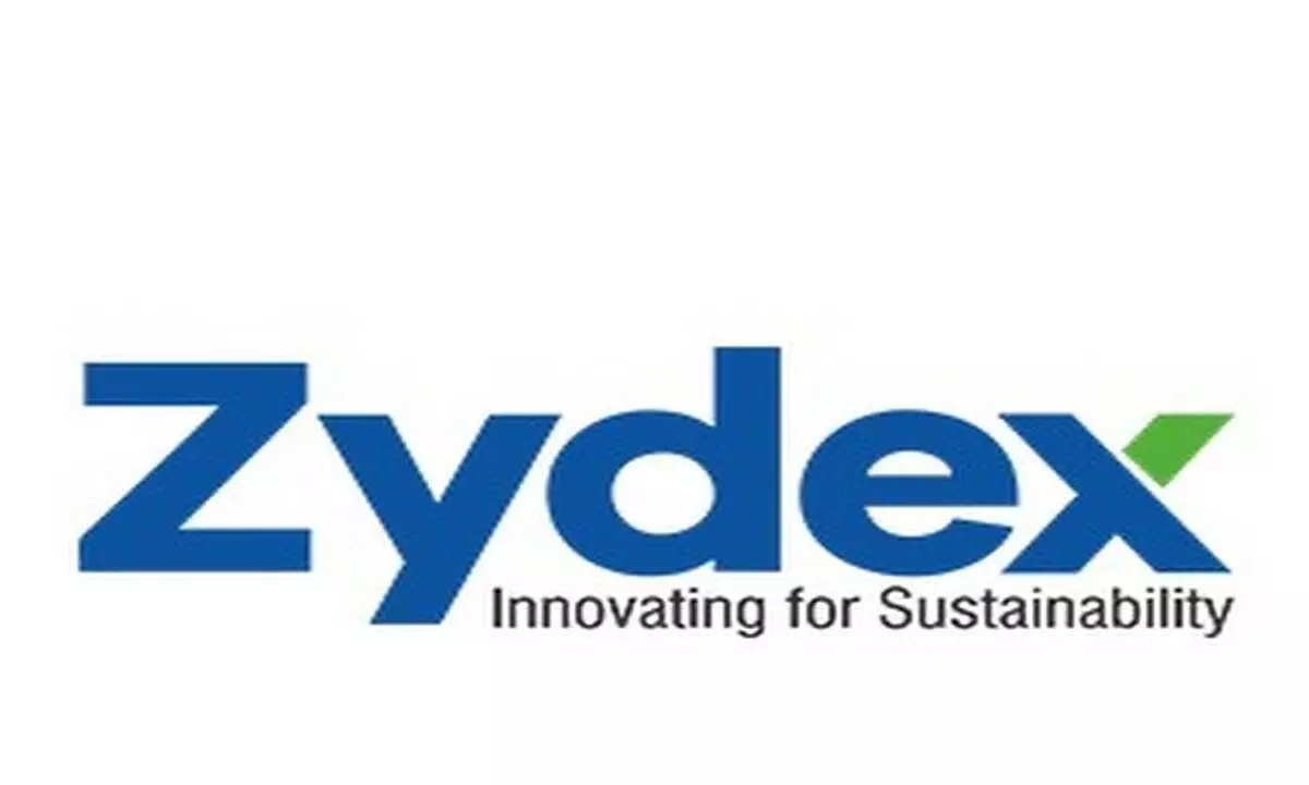 Zydex Industries leads the way to weather-resistant roads with innovative technologies Zydex Industries leads the way to weather-resistant roads with innovative technologies