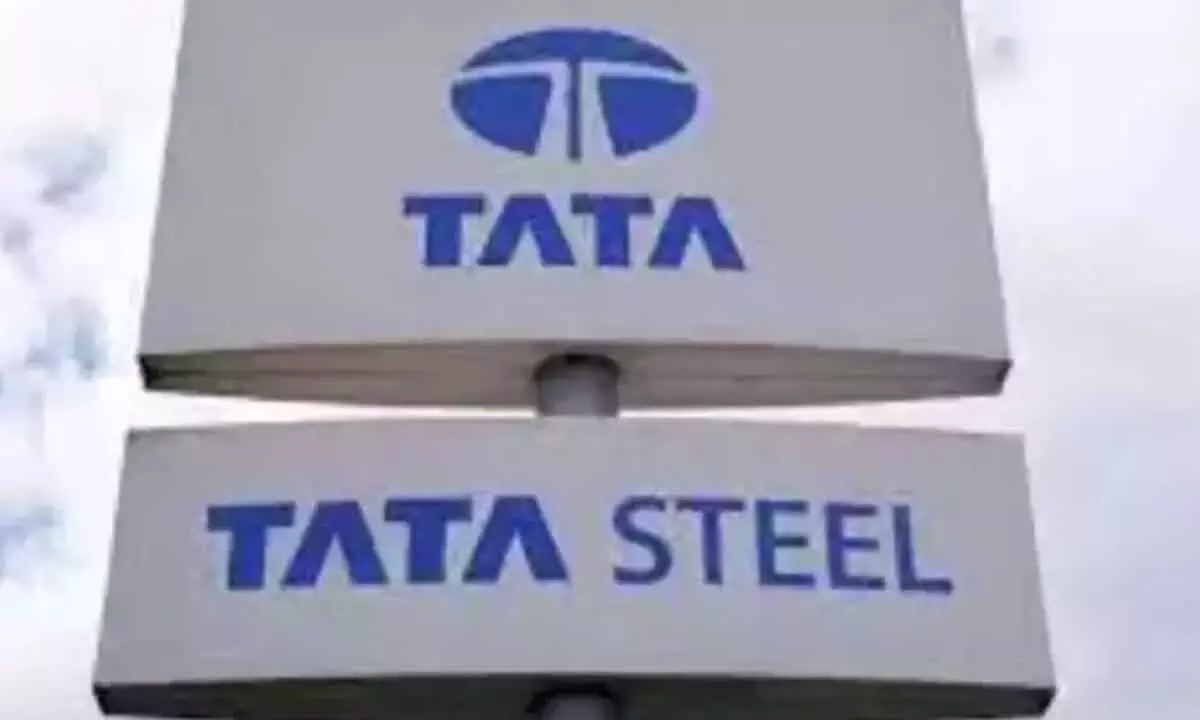 Tata Steel outlays Rs 12k cr capex for India expansion