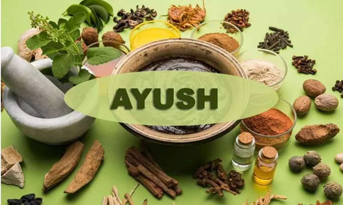 Time to have a standard licensing process for Ayush drugs