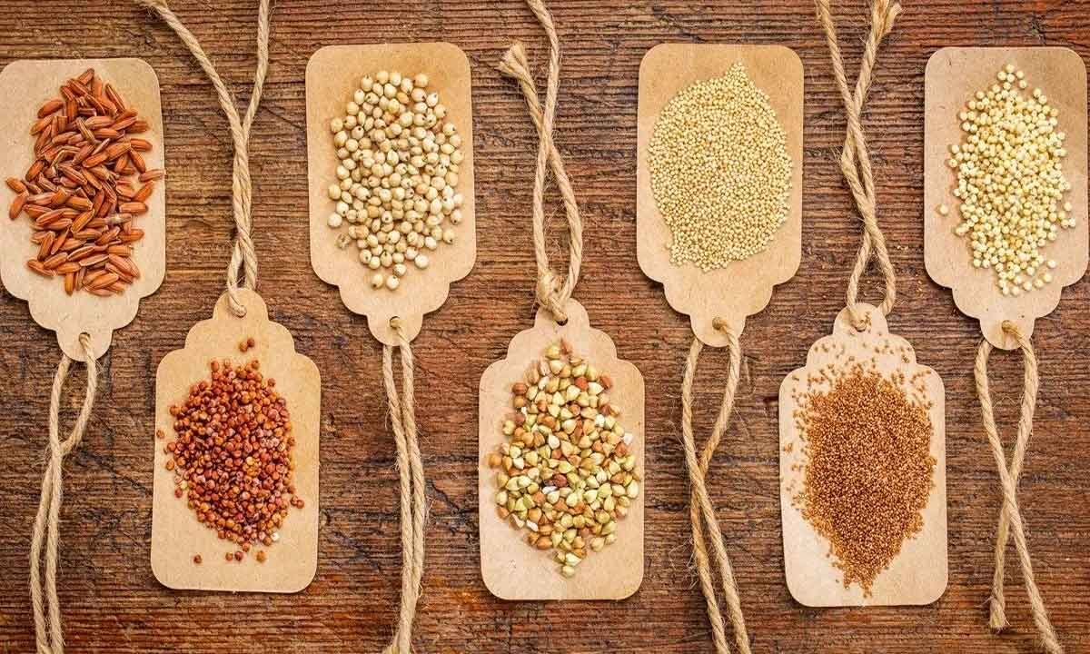 Millet Hub A culinary delight at the G20 Summit in Srinagar