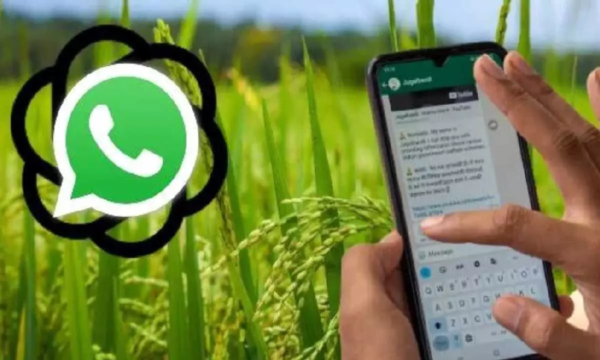 Jugalbandi chatbot will be a boon for farmers