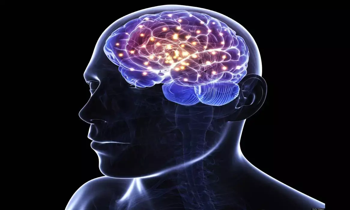 Walking may help improve brain connectivity, memory in elderly