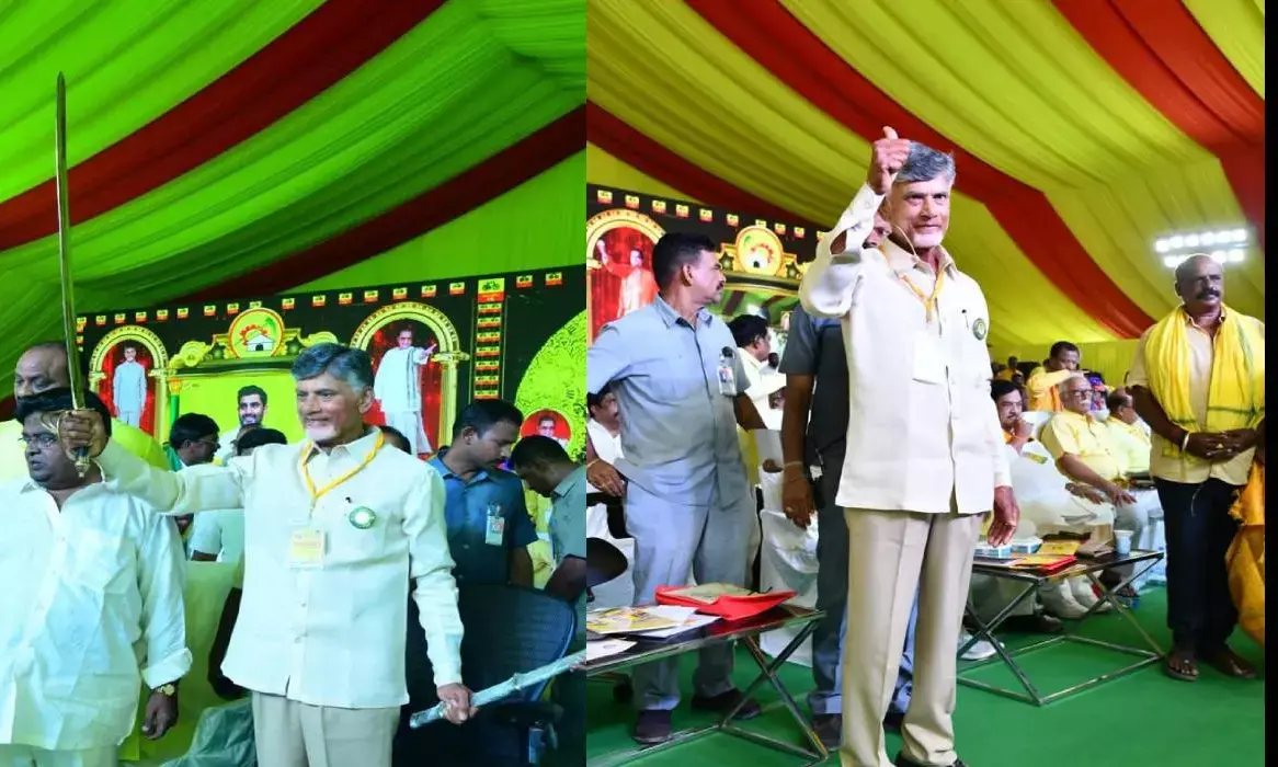 Bring down YSRCP Govt., Naidu urges TDP cadres