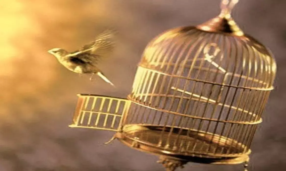 Caged Bird to Urge Hyderabad Residents to Let Birds Fly Free