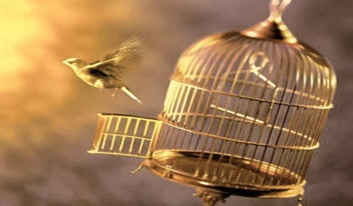 Caged Bird to Urge Hyderabad Residents to Let Birds Fly Free